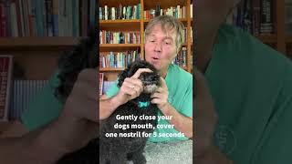 Download lagu How to stop reverse sneezing in one simple step mp3