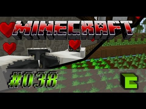 Let's Play Minecraft [#038] Tiere züchten und Samen sähen [PC] [HD] [DEUTSCH]