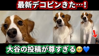     最新デコピンきた…！大谷翔平の最新投稿が尊すぎる🥹💙