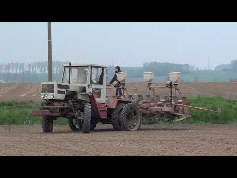 Landb. Nuytten - Neerwaasten - MB-Trac 800 - Gilles