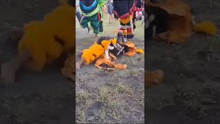 Download lagu Mas dedeng raja kondang satu kali salto ndadi mp3