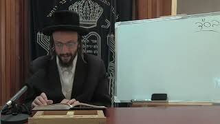 תעס | חלק ד | פרק א עמ' רי-ריב פירוש לדרוש שני עד אות ה | הרב אסף משה בילר(3)