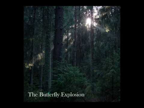 The Butterfly Explosion - Vision