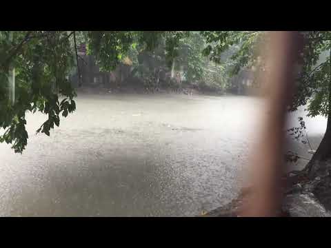 Bristi Sound. Sound effects of the Rain.