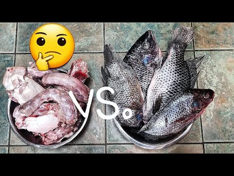 download lagu mp3 mp4 Raw Food Online Shop Deutschland, download lagu Raw Food Online Shop Deutschland gratis, unduh video klip Raw Food Online Shop Deutschland