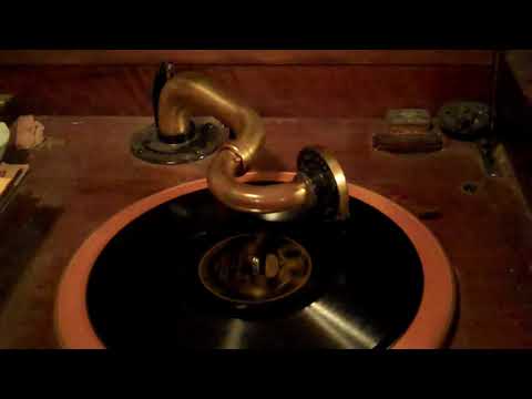 SAM LANIN'S FAMOUS PLAYERS  VIVA-TONAL RED NICHOLS - MY NEW YORK - ROARING 20'S VICTROLA 8-30