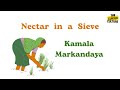 Nectar In A Sieve By Kamala Markandaya Explained Historical Context Summary Themes Symbolism