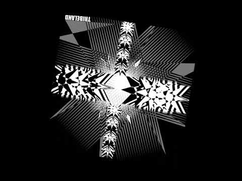 Tournevis - Waveform (TRIBELAND 01)