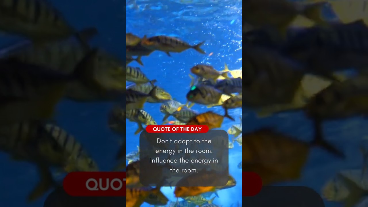 TCB | Quote of the Day | Day #56 | #quote #quoteoftheday #ideas #inspiration #motivation