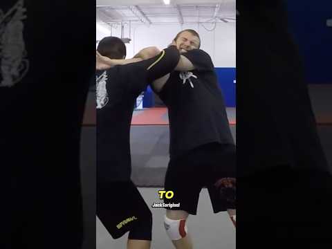 Is This The Most Dangerous Martial Art ? (Joint Breaker)  #combat  #martialarts #silat