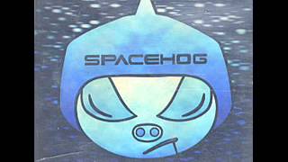 Spacehog - Carry On - acoustic