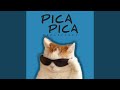 Pica Pica Remix