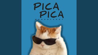 Download lagu Pica Pica (Remix) mp3 Download lagu Pica Pica (Remix) mp3