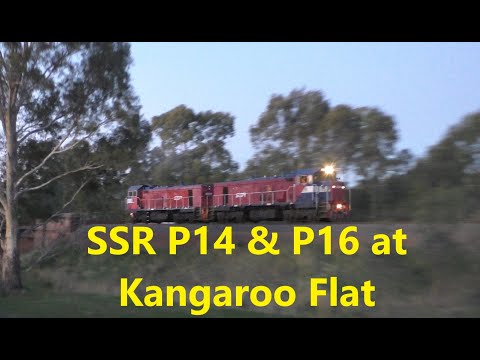 SSR P14 and P16 Light Engine Transfer - 5th May 2020