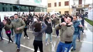 preview picture of video 'Flash mob MOTTAFLOR 2013'