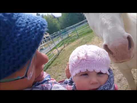 MUSTANG MAKEOVER 2018 Team Sonja (TAG 4235) - Update 2