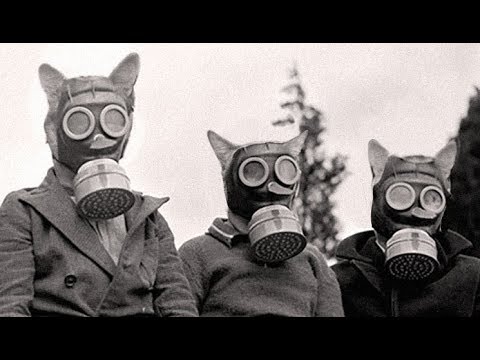 Cat Scouts Tactical Survival Training CSU Class