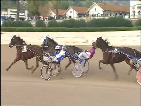 Trotto 01/12/2017 - 2ª corsa