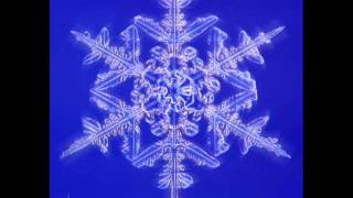 Carbon Based Lifeforms - Neurotransmitter: Abiogenesis (PD.R Mix)