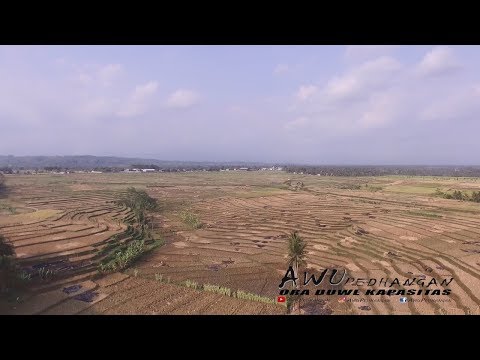 petani-di-desa-merden-resah-banjarnegara