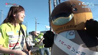 2025/12/10放送・知ったかぶりカイツブリにゅーす