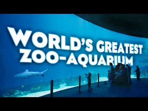Zoo Tours: One of the World's Greatest Zoo-Aquariums