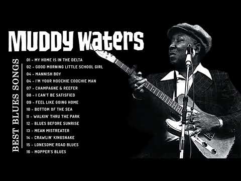 Best Blues Songs Of The Muddy Waters ~ Muddy Waters Greatest Hits Playlist