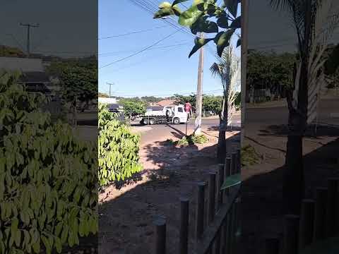 centro de Francisco Alves;