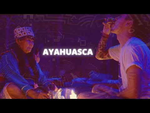 Ayahuasca & Its Strange World of DMT Creatures (My first ceremony was weird)