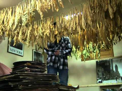 Pro-smoking activist lights up against NY ban