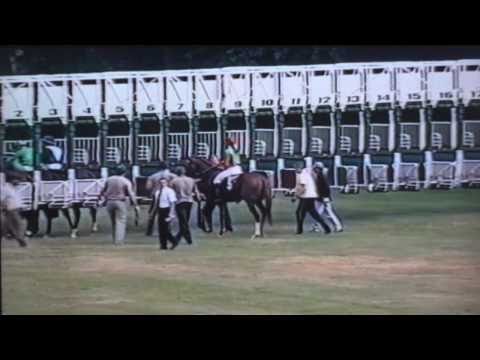 Nagroda Iwna - 15.06.2003 - Domart (Baby Bid - Dominet)