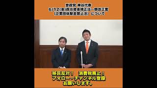 参政党 神谷代表 611木刑事訴訟法改正案について ぶら下がり会見 2/4