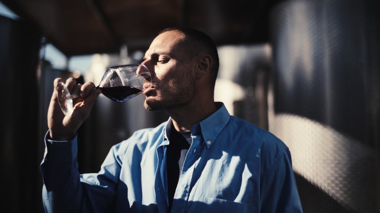 Degustazione di vini e formaggi / Creazioni Armoniche | Cantina Mir