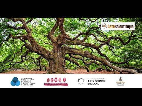 The Secrets of Ancient Trees | Tim Kellett | Virtual Café Sci