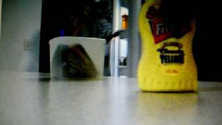 Mustard Plug Skank By Numbers