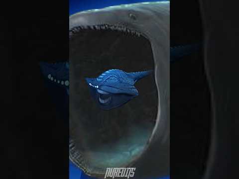 Who is the Biggest? Bloop vs El Gran Maja