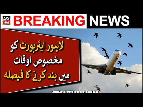 Bird strikes on the rise at airports