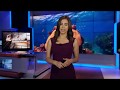 THE INVISIBLE CRISIS Fighting For Florida S Coral Reefs