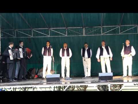 Chlapi zo Sulína - Veršočok zelenj