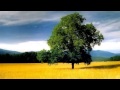 OST Thank You - I Love You - Hun (사랑해요 - 훈 ...