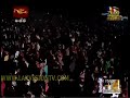 Old Sunflower Solo