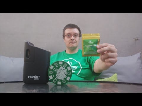 Gandzia Test - Pineaple Kush CBD - Sensi Hemp +18