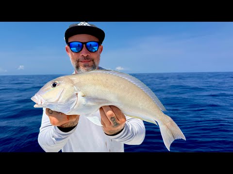 The Best Fish Sandwich A Chef Could Make | Tile Fish Catch Clean Cook