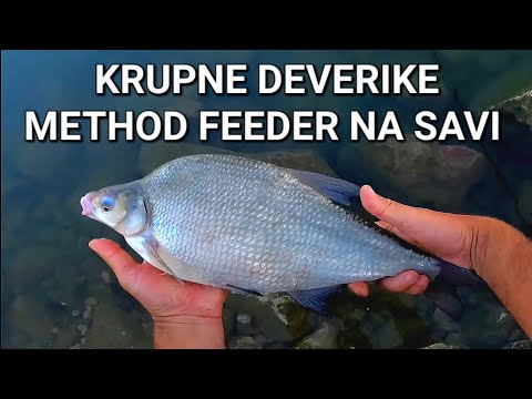 METHOD NA SAVI I KRUPNE DEVERIKE