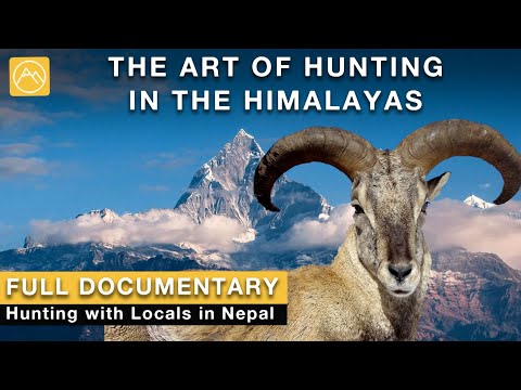 The Art of Hunting in the Himalayas | Hunting with Locals in Rural Nepal | Full Documentary Film
