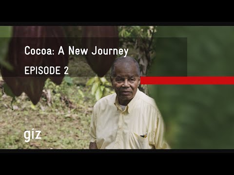 Cacau: A Nova Jornada – Episódio 2