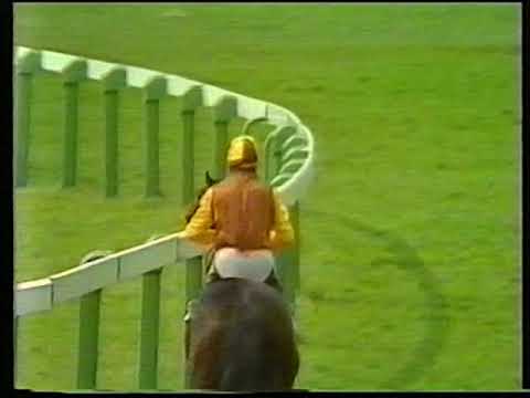 1983 Dante Stakes Hot Touch