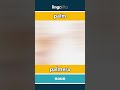 palm - palmera video thumbnail