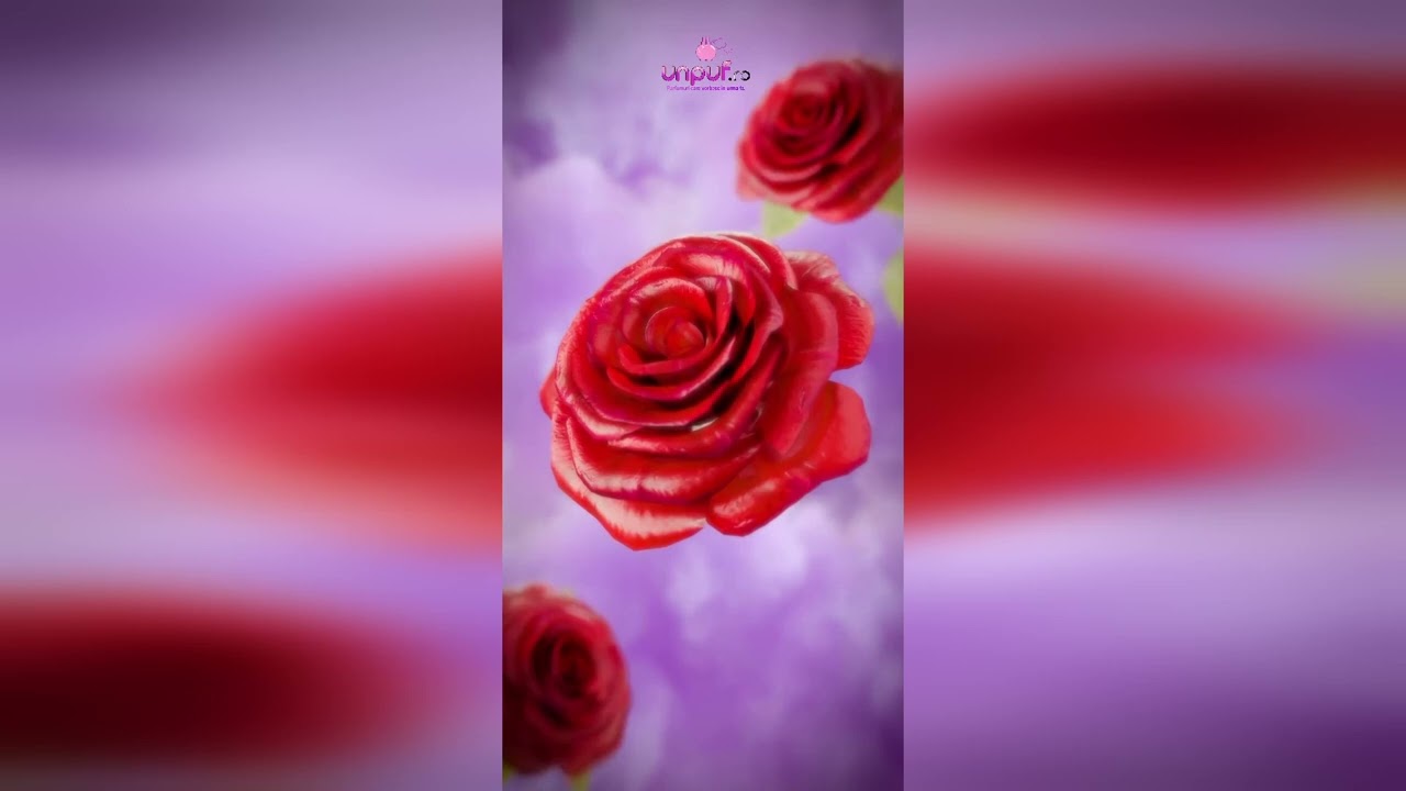 Video produs