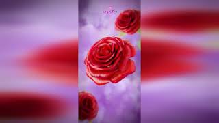 Video produs